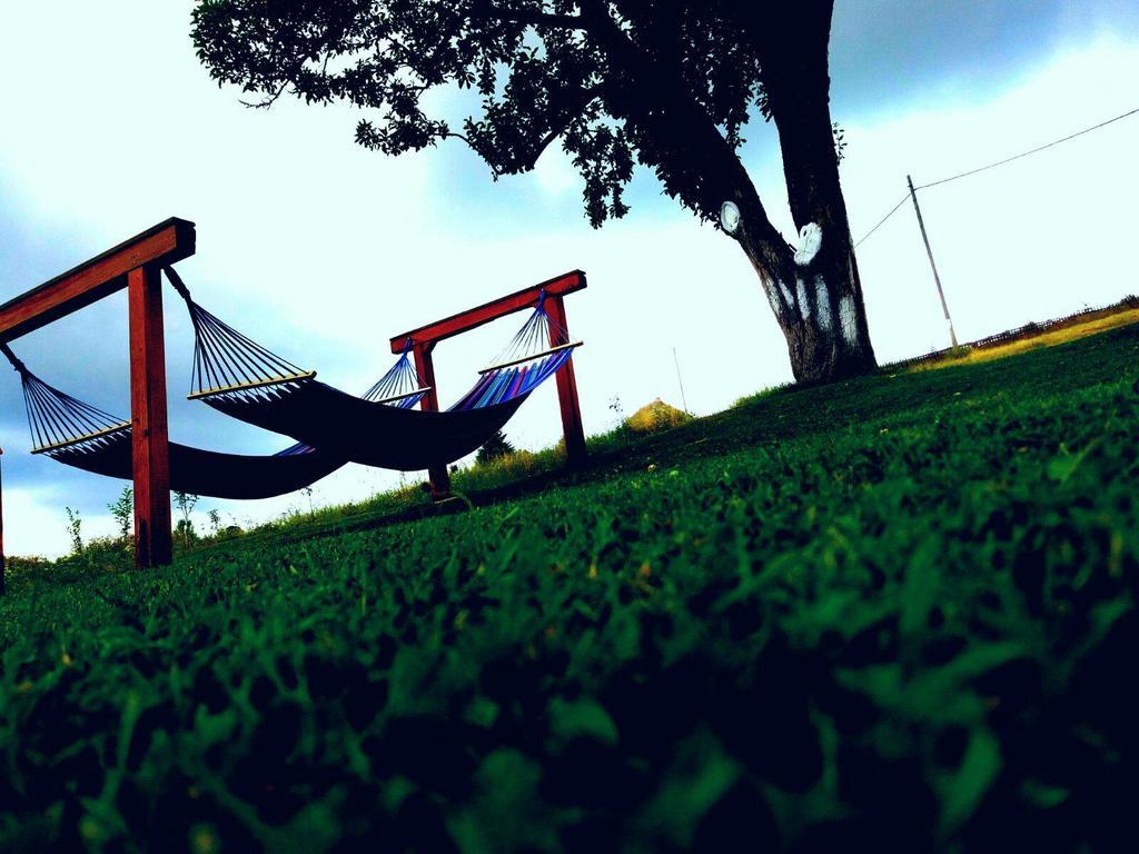 Pensiunea Casa Eden Mărişel Exteriér fotografie