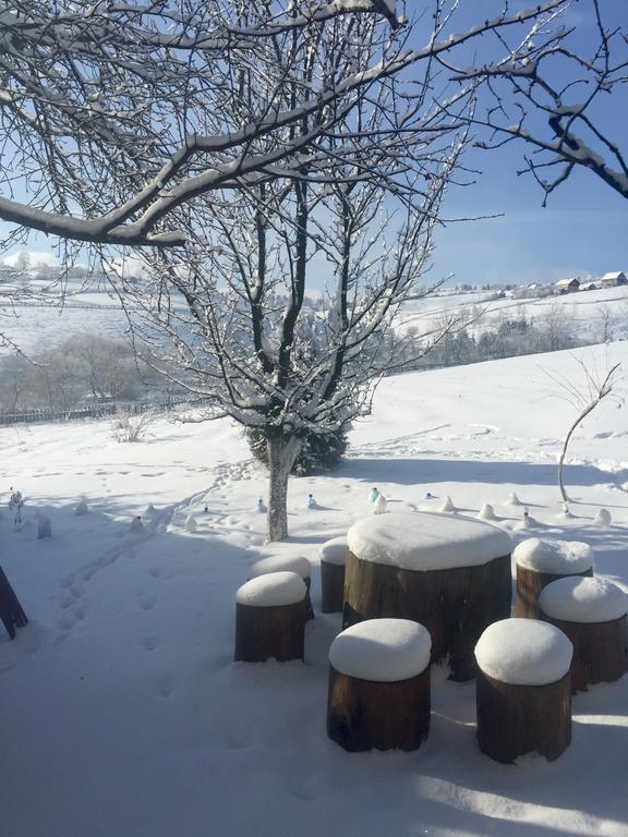 Pensiunea Casa Eden Mărişel Exteriér fotografie